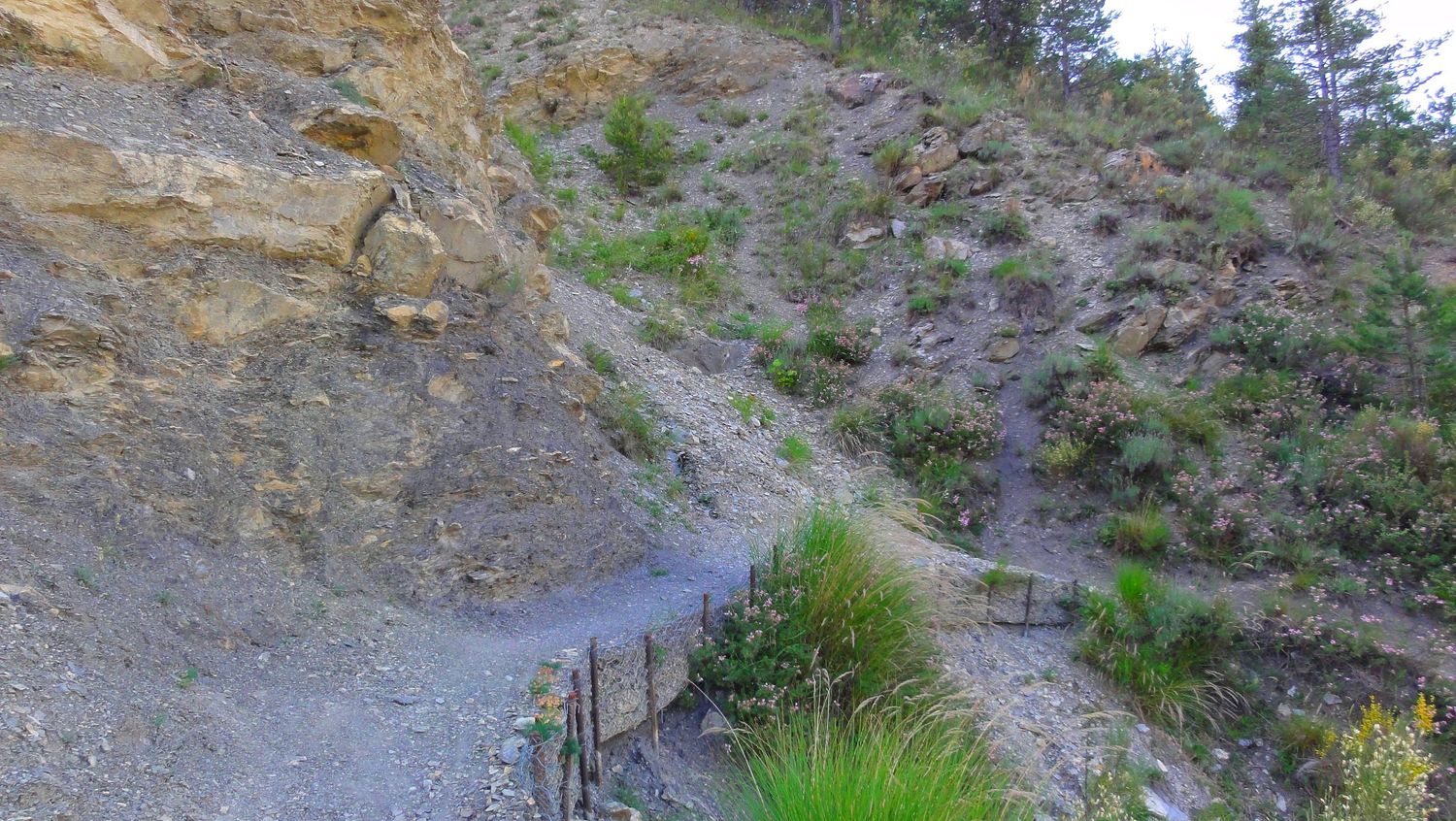 ondres_juin_2022_010.JPG
