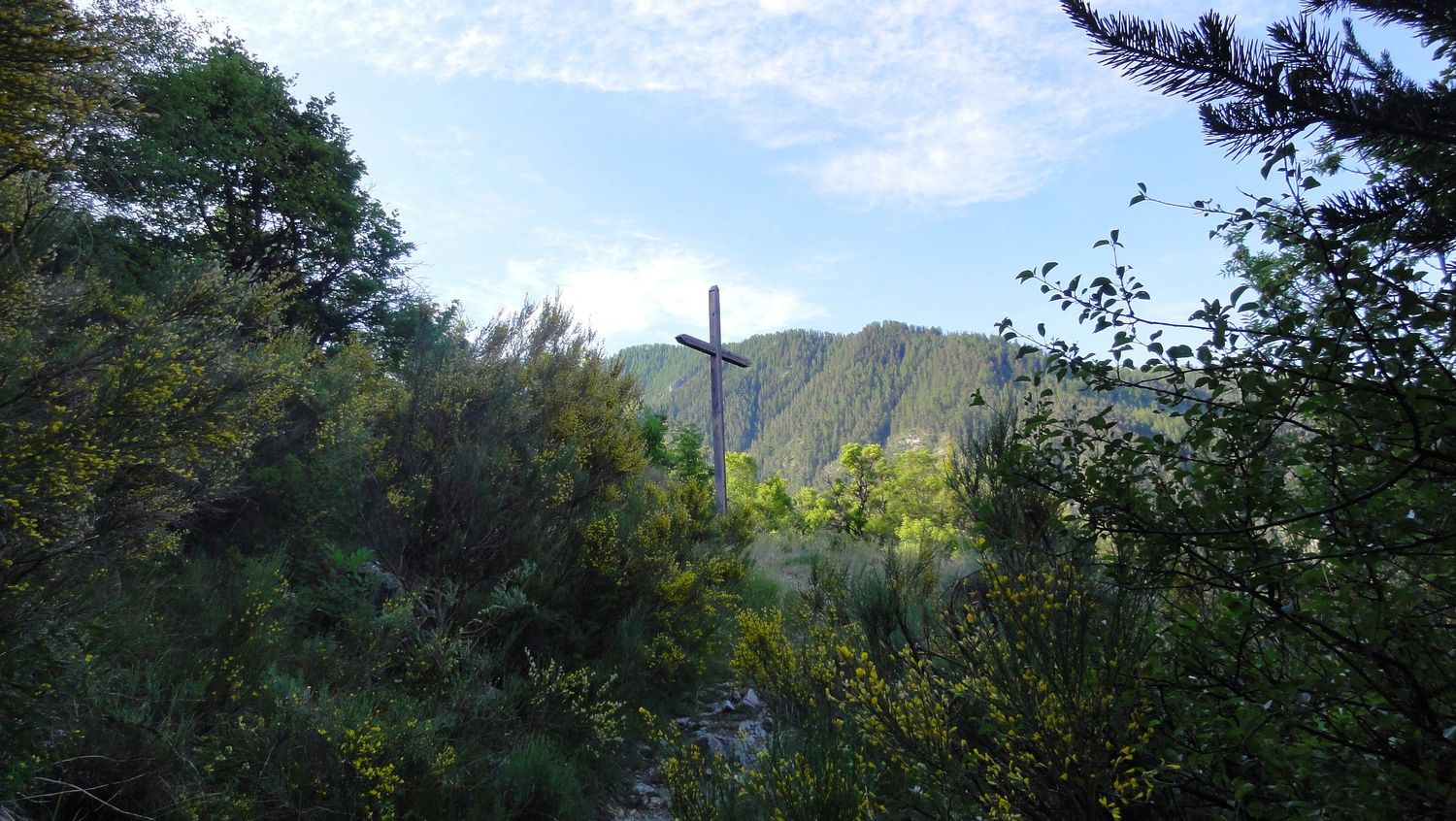 ondres_juin_2022_024.JPG