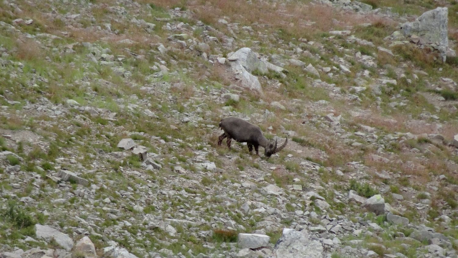 tour_lac_aout_2019_49.JPG