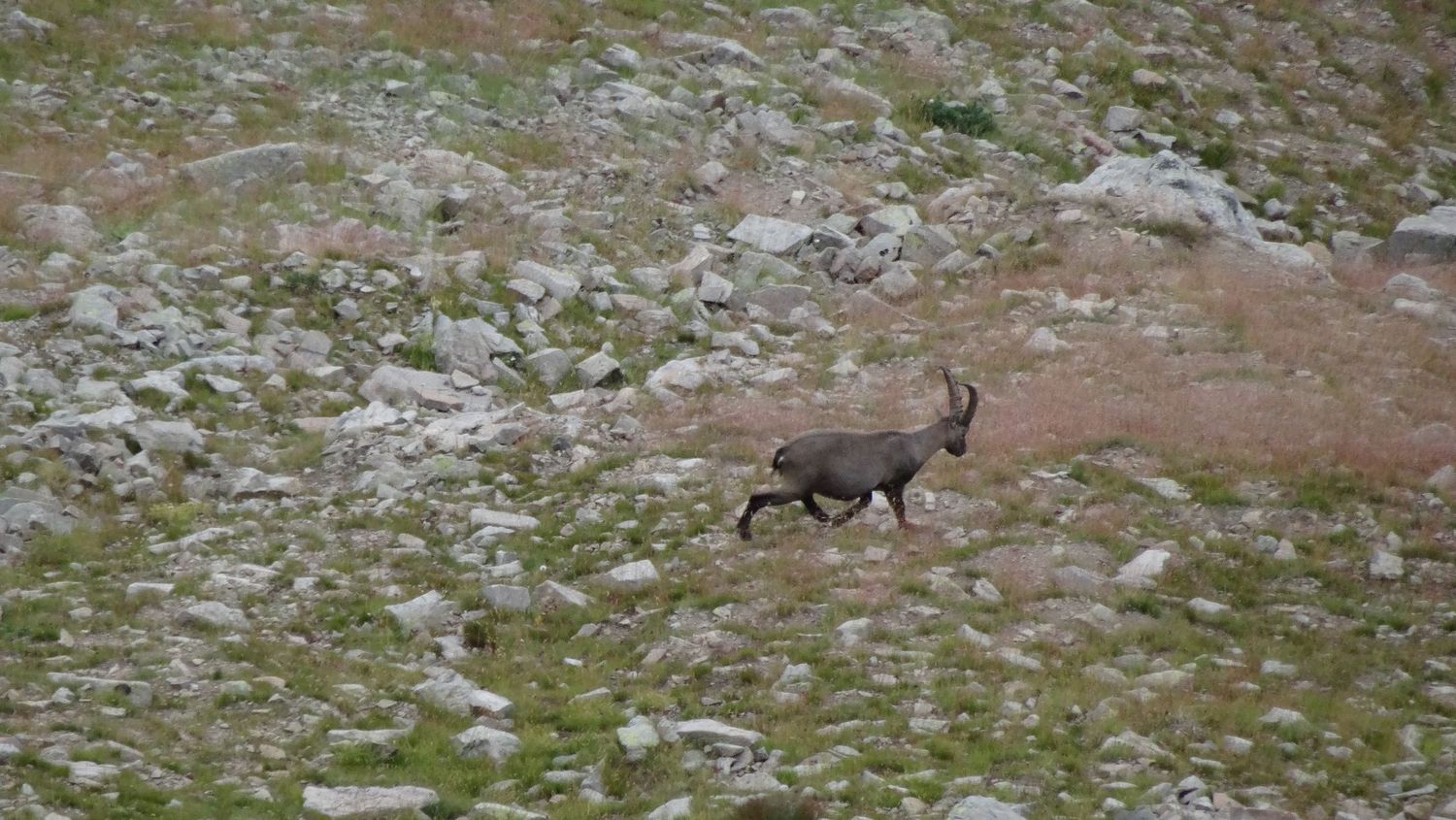 tour_lac_aout_2019_55.JPG