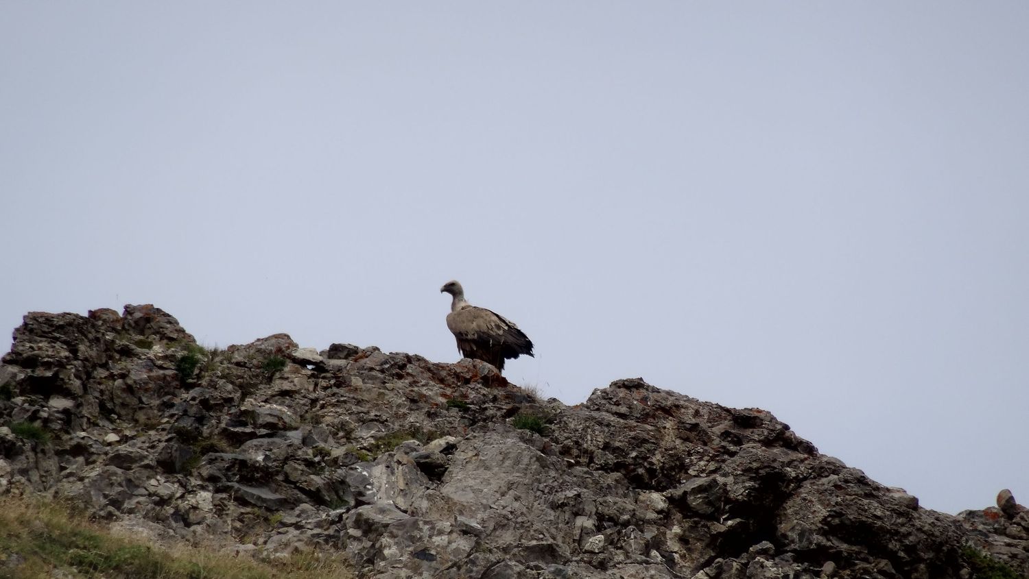 tour_lac_aout_2019_85.JPG