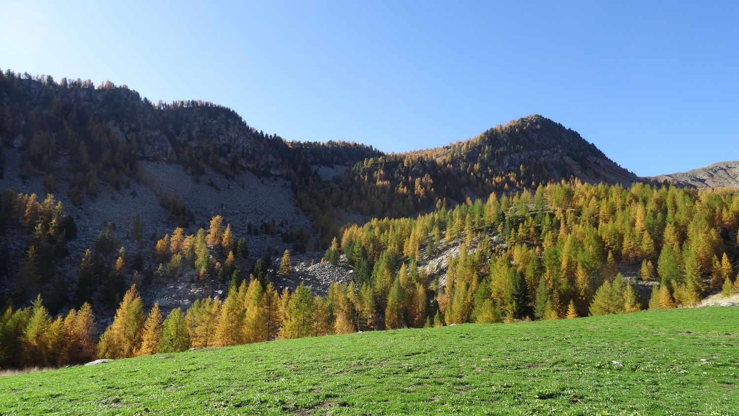 joyeux-chabaud_oct_2019_2019_101.JPG