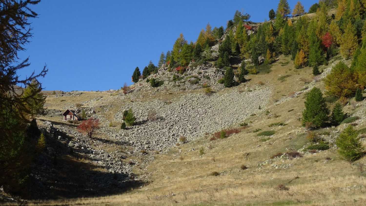 joyeux-chabaud_oct_2019_2019_105.JPG