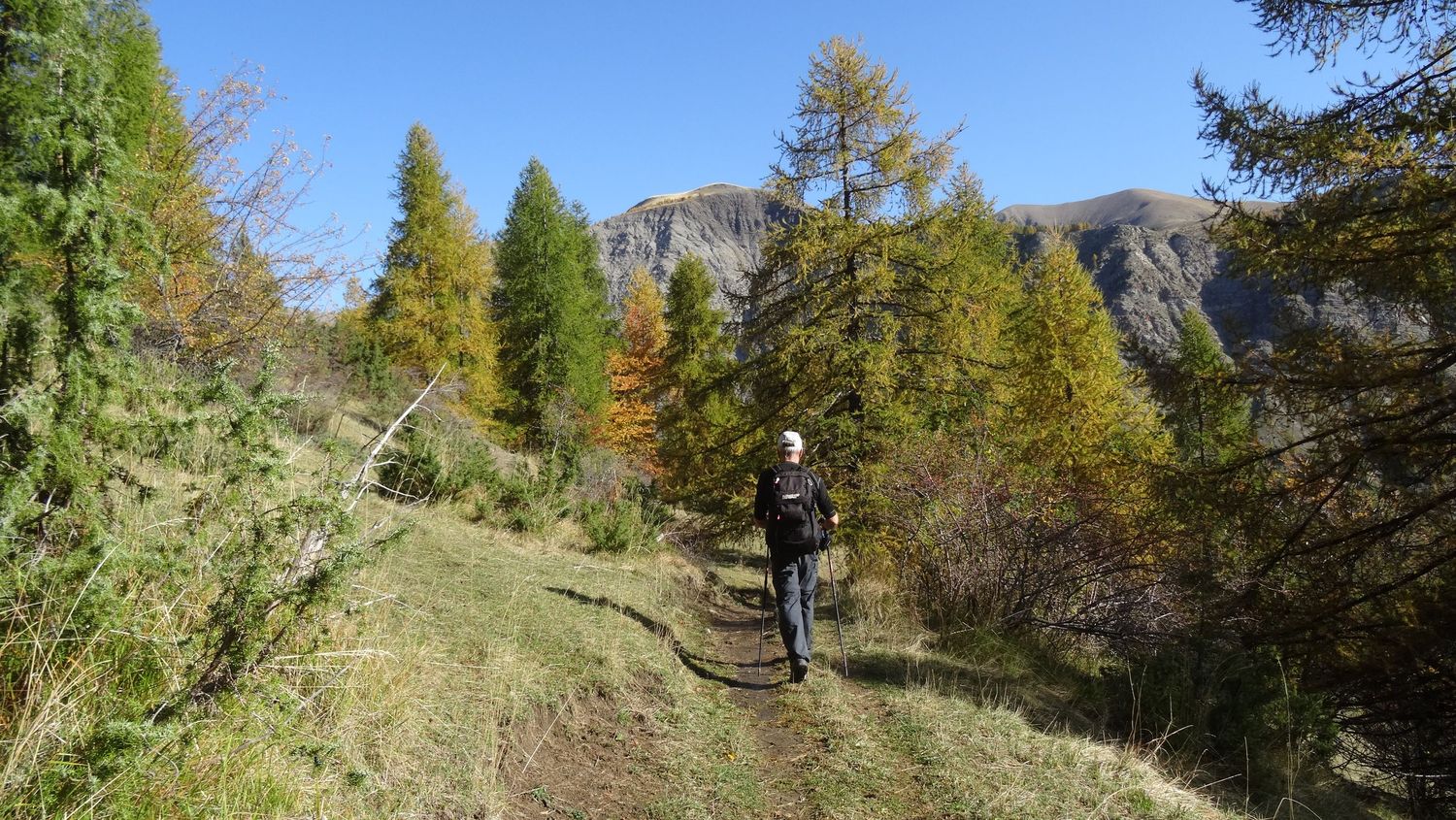 joyeux-chabaud_oct_2019_2019_109.JPG