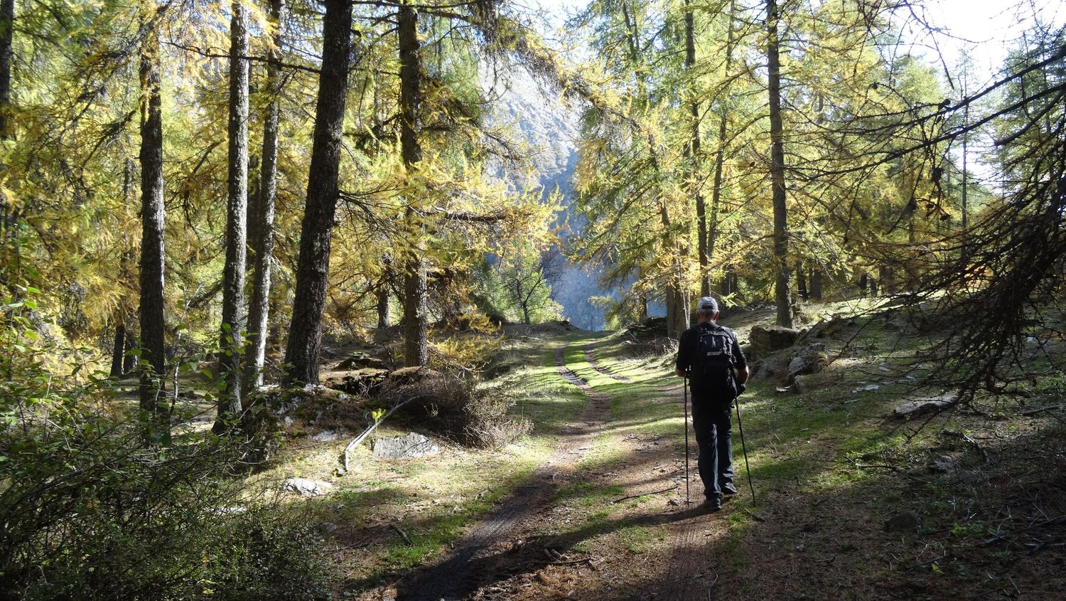 joyeux-chabaud_oct_2019_2019_123.JPG