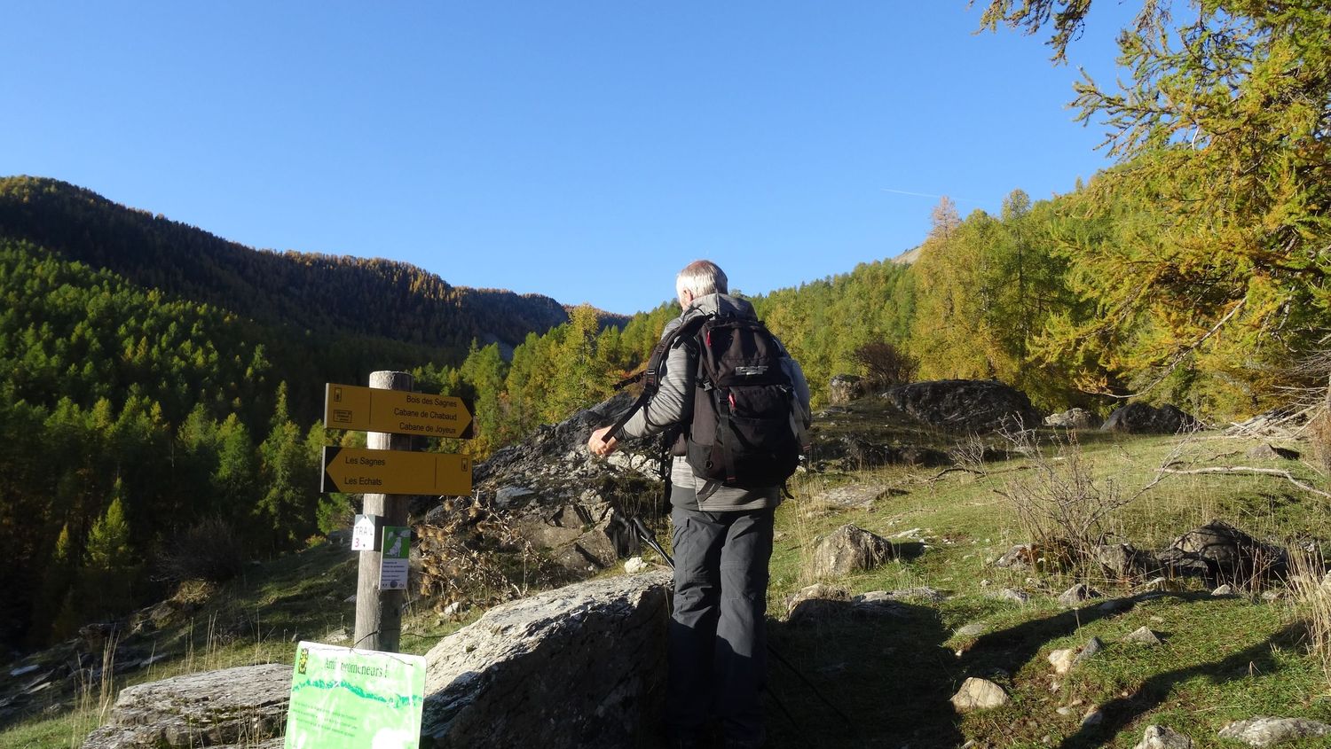 joyeux-chabaud_oct_2019_2019_23.JPG