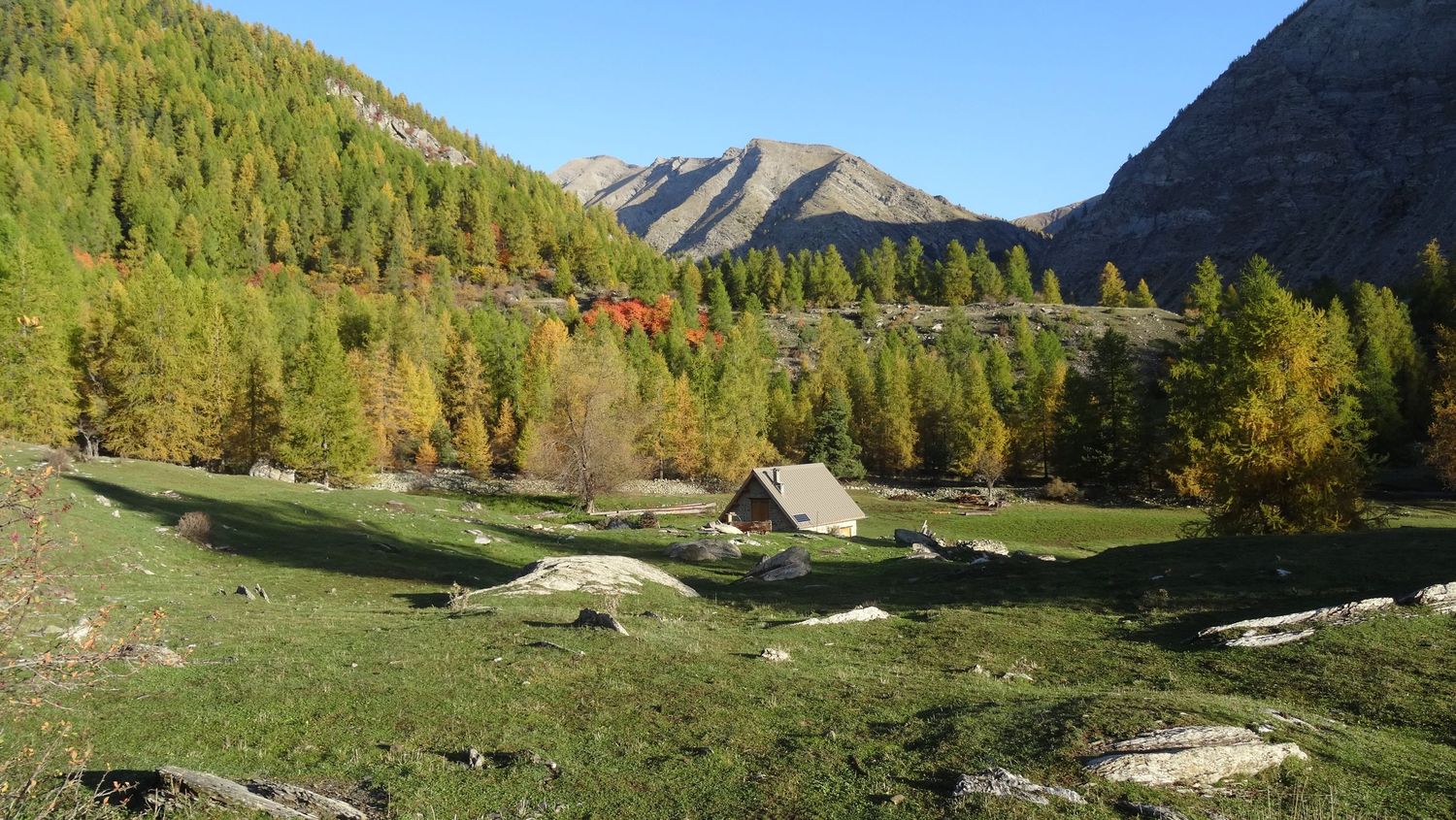 joyeux-chabaud_oct_2019_2019_25.JPG