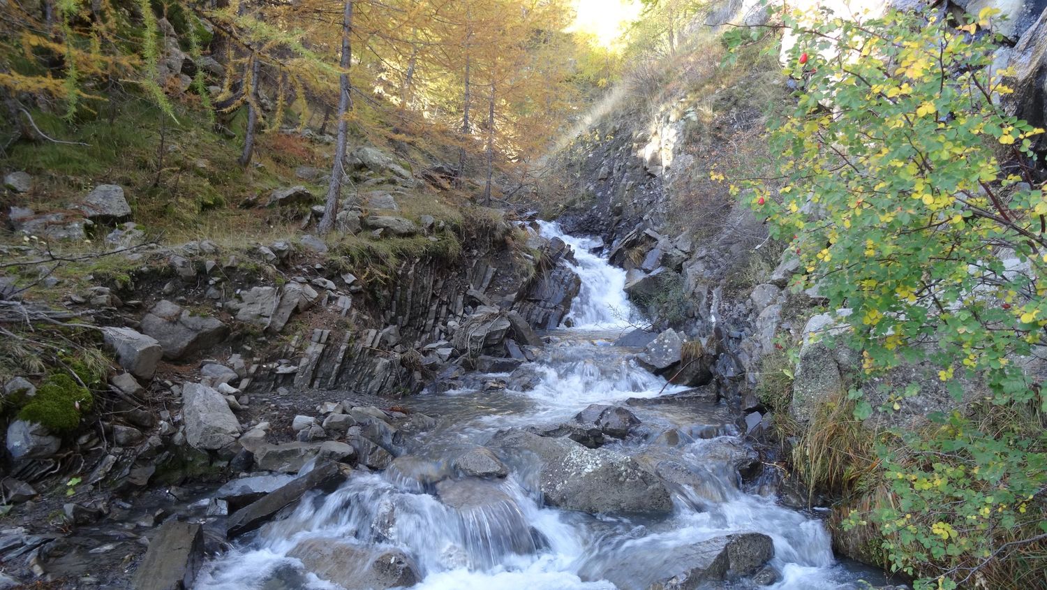 joyeux-chabaud_oct_2019_2019_37.JPG