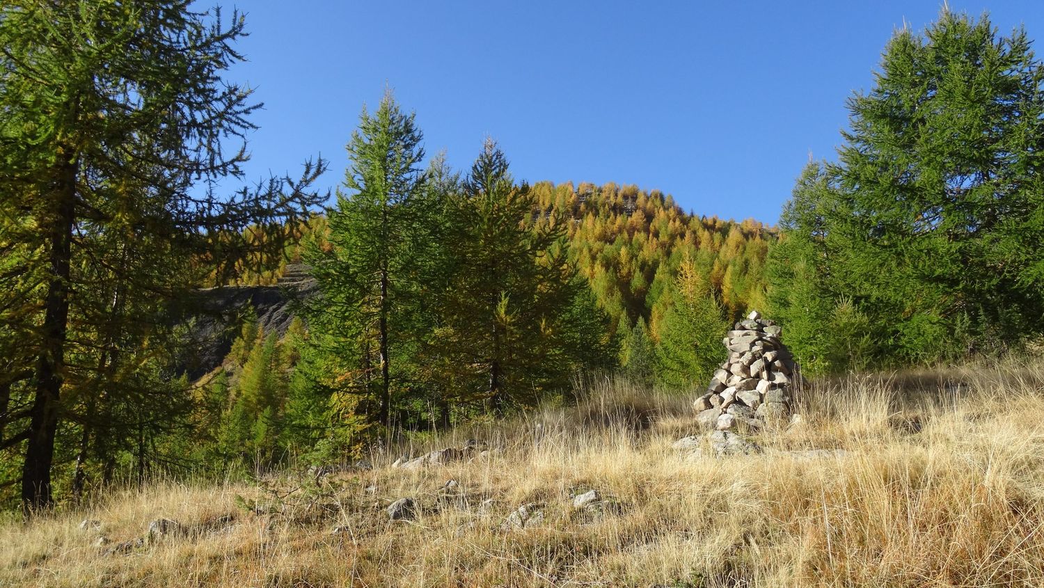 joyeux-chabaud_oct_2019_2019_41.JPG