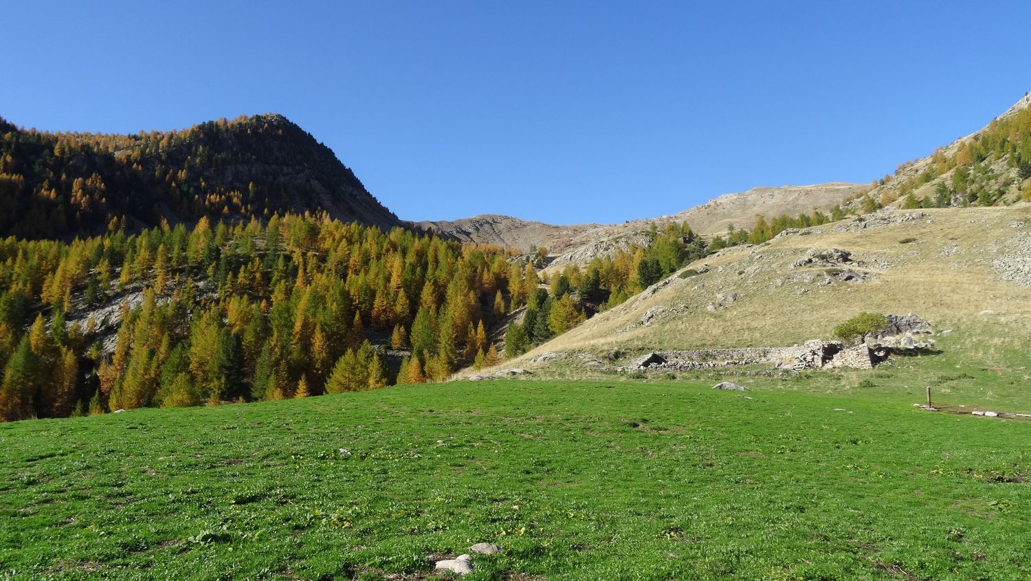 joyeux-chabaud_oct_2019_2019_97.JPG