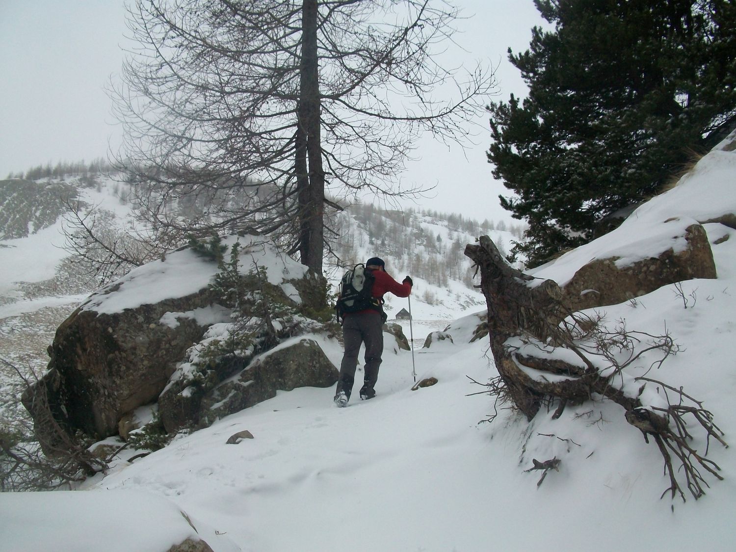 sellanche_fev_2020_53.jpg