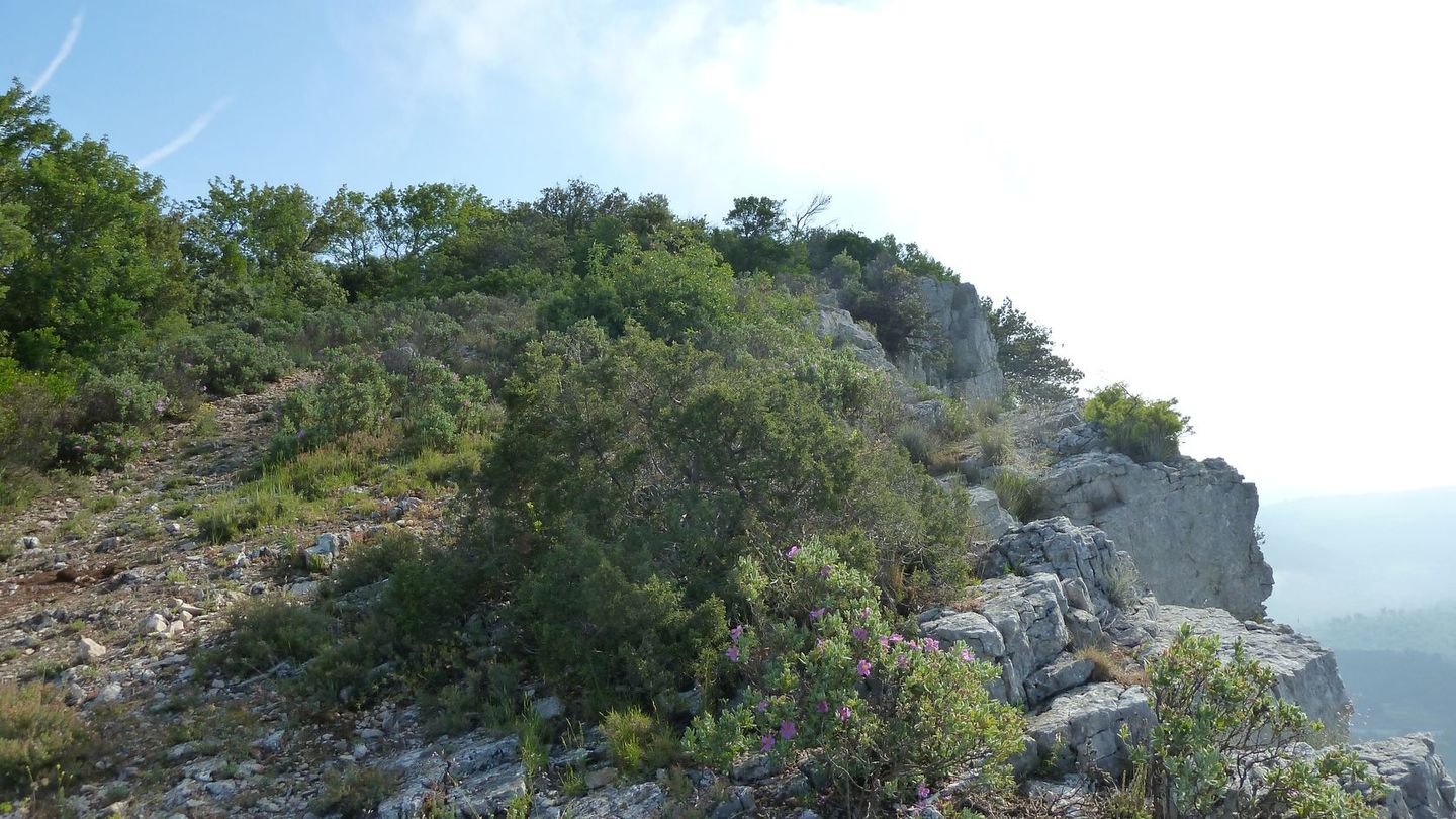 pilon_st_clement_juin_2012_041.JPG