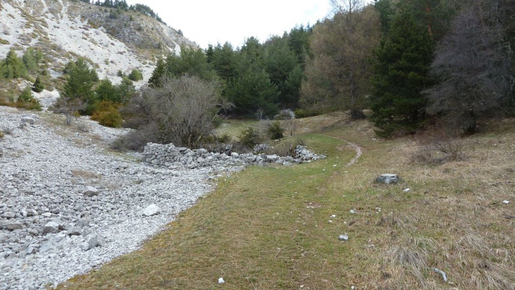 plaine_de_jassaud_avril_2016_003.JPG