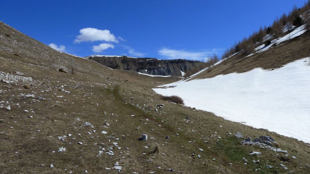 plaine_de_jassaud_avril_2016_040.JPG