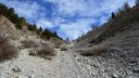 plaine_de_jassaud_avril_2016_014.JPG