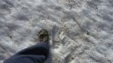 plaine_de_jassaud_avril_2016_018.JPG