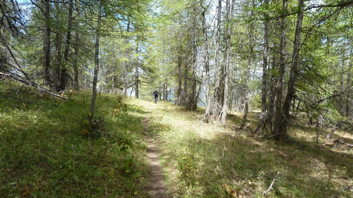 pasquier_serre_carlet_2817729.JPG