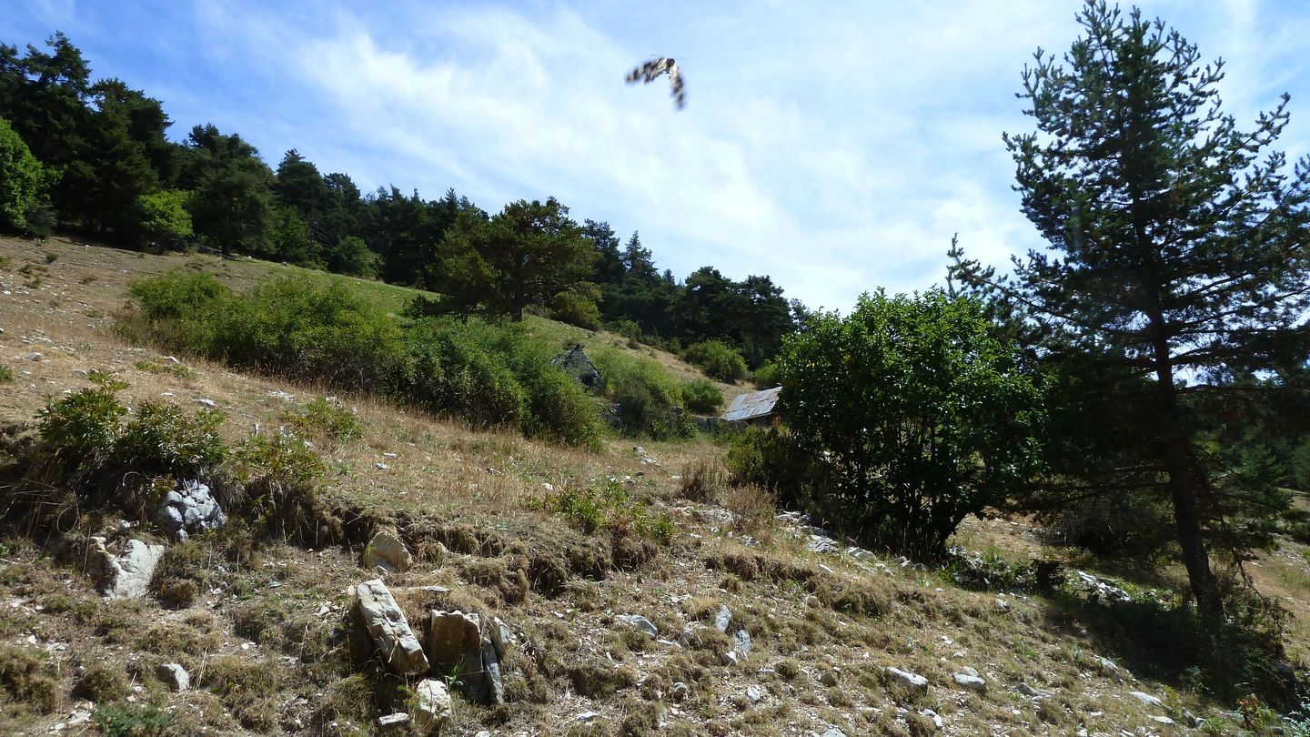 pasquier_serre_carlet_2820229.JPG