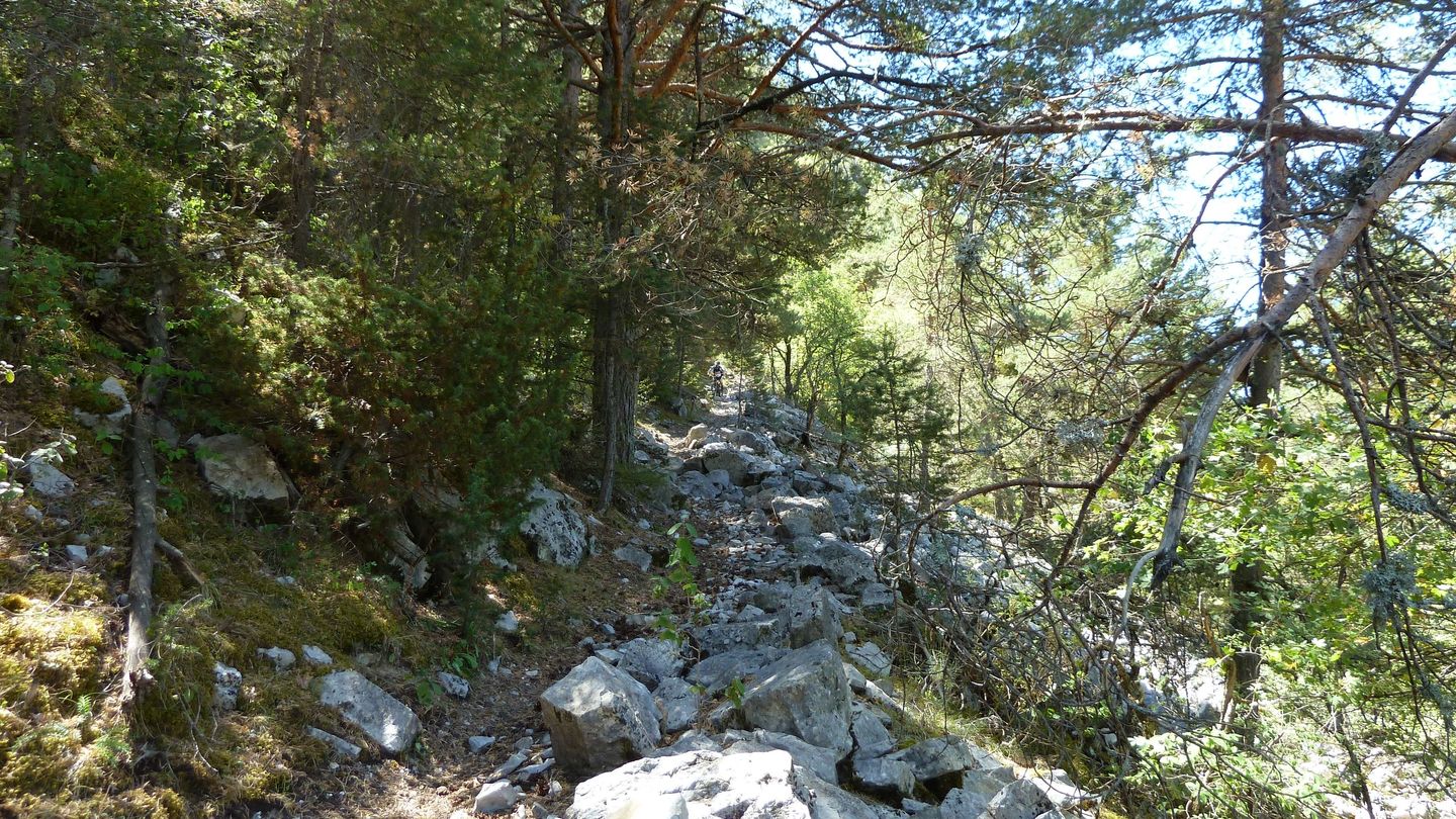 pasquier_serre_carlet_2821729.JPG