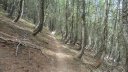 pasquier_serre_carlet_2818429.JPG