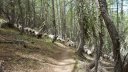 pasquier_serre_carlet_2818529.JPG