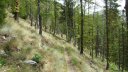 pasquier_serre_carlet_287129.JPG