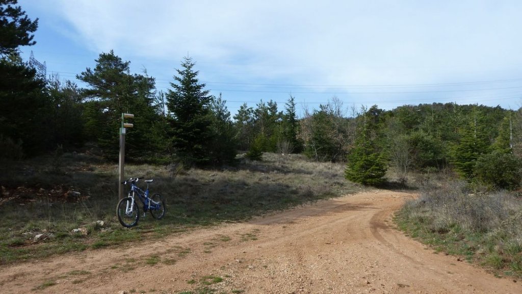 plateau_agnis_avril_2013_042.jpg