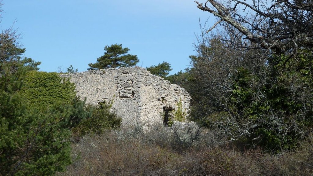 plateau_agnis_avril_2013_046.jpg