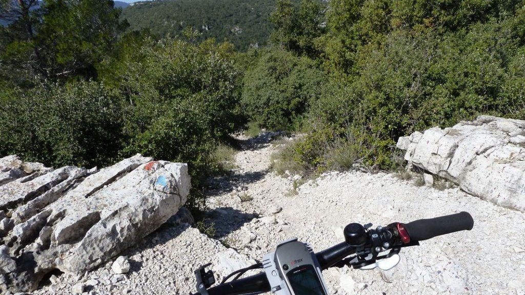 plateau_agnis_avril_2013_114.jpg