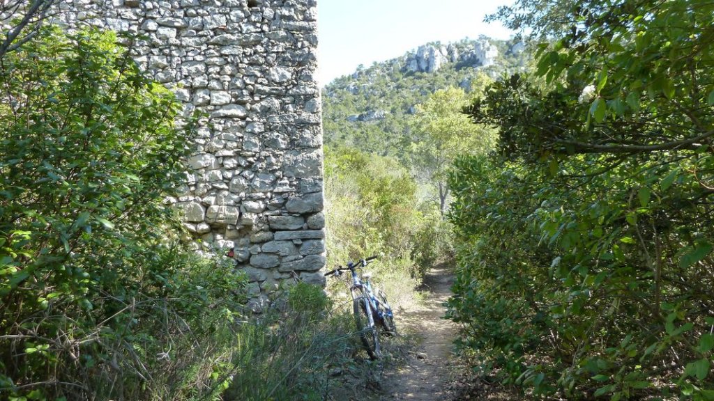plateau_agnis_avril_2013_126.jpg
