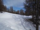 DSCF3315.JPG