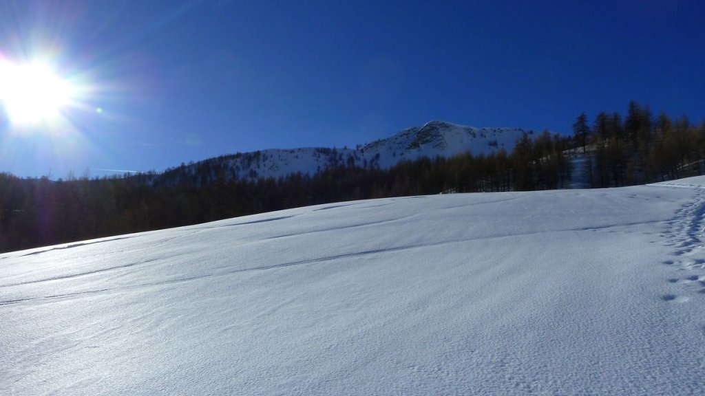 P1110007.JPG