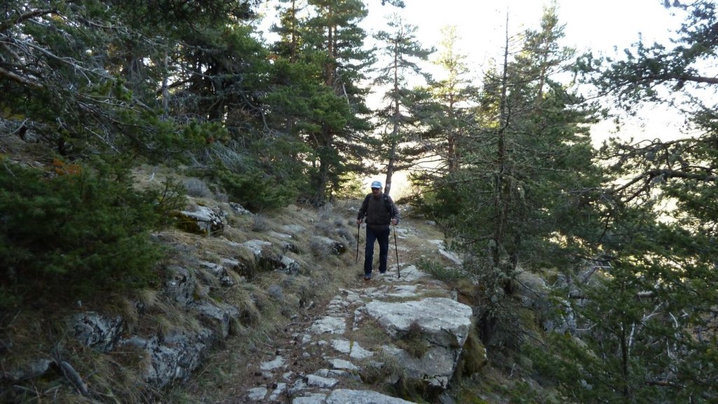 pre_de_thorame_avril_2016_006.JPG