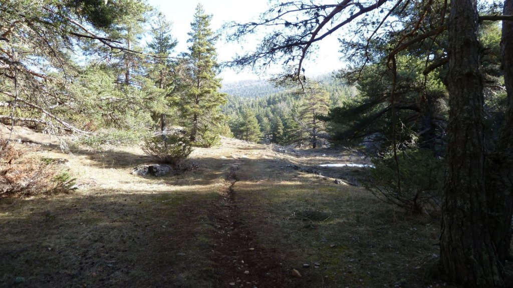 pre_de_thorame_avril_2016_010.JPG