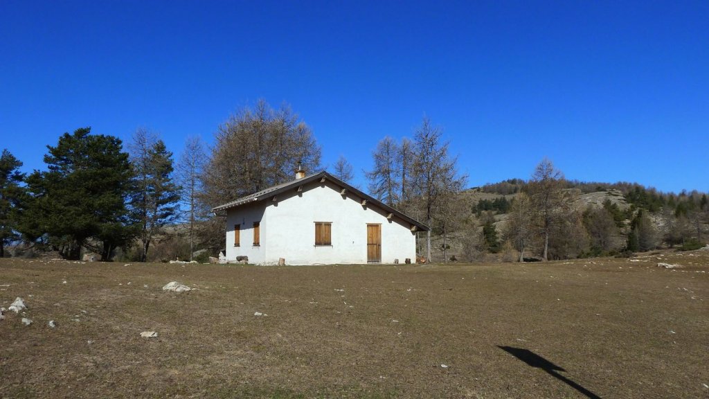 pre_de_thorame_avril_2016_027.JPG