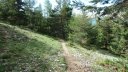 pre_thorame_2018_037.JPG