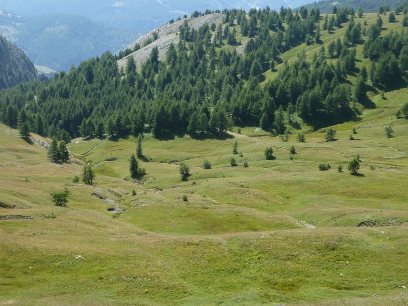 baisse_prenier_2011_039.jpg