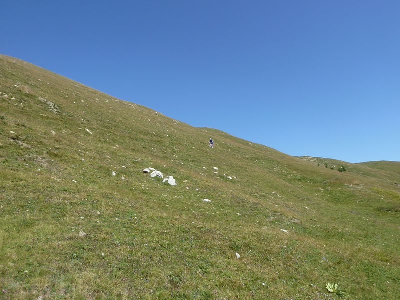 baisse_prenier_2011_045.jpg