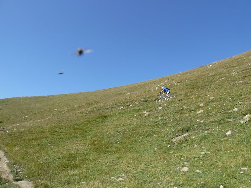 baisse_prenier_2011_047.jpg