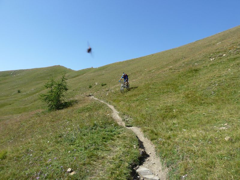 baisse_prenier_2011_049.jpg
