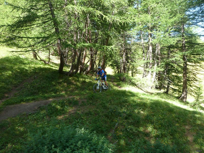 baisse_prenier_2011_055.jpg