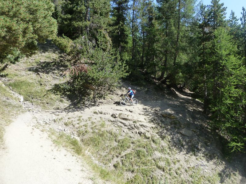 baisse_prenier_2011_057.jpg