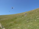 baisse_prenier_2011_047.jpg