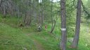 prenier_2013_060.jpg