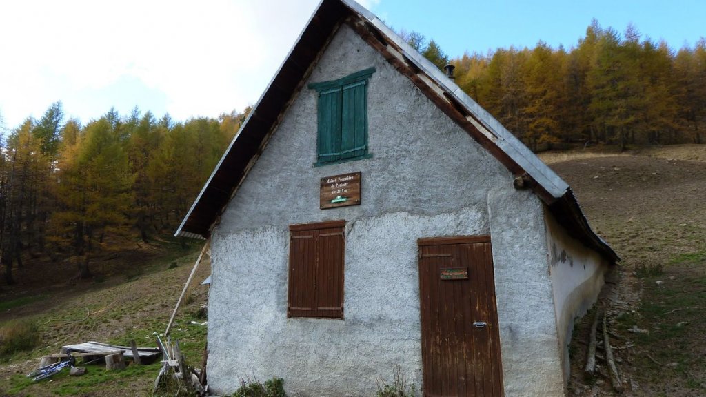P1100554.JPG