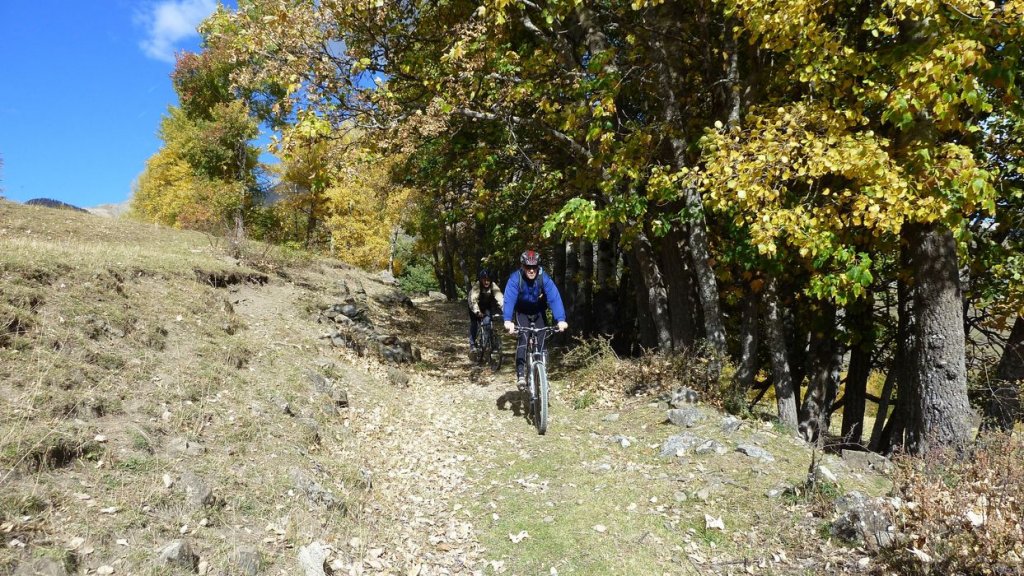 P1100569.JPG