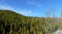 P1100498.JPG