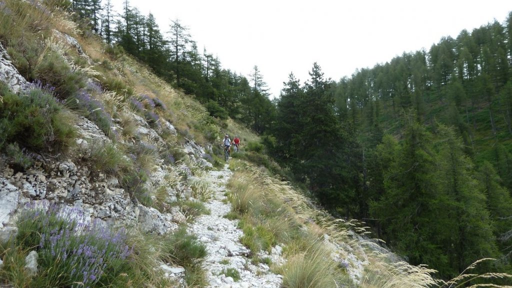 puy_de_rent_2013_090.jpg