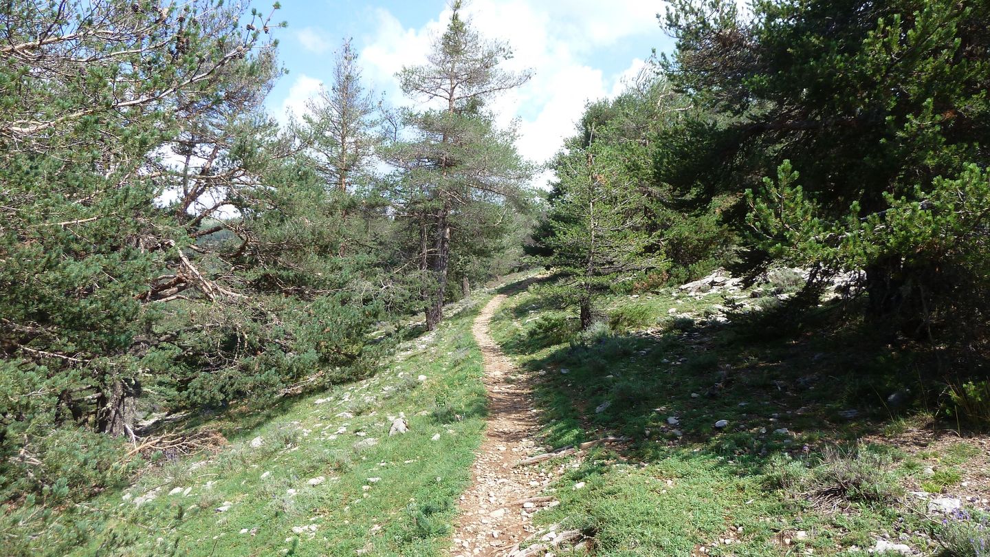 puy_rent_aout_2018_055.JPG