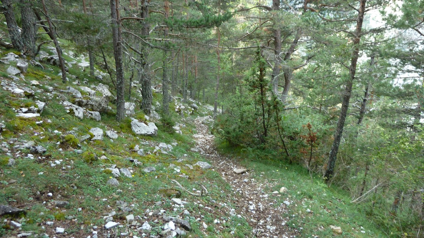 puy_rent_aout_2018_095.JPG